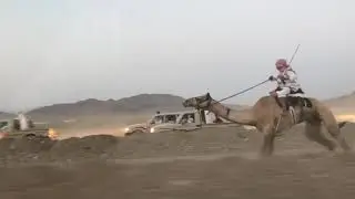 السرو ل/حسين بن عوده المعايشه العطوي 21/12/1439