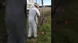 Trench Hydro Excavation