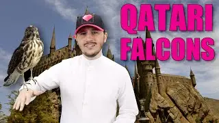 #QTip: These are the types of falcons commonly found in Qatar!