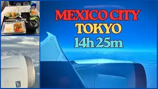 Mexico City to Tokyo Narita | ANA Business Class (14h 25m Flight)