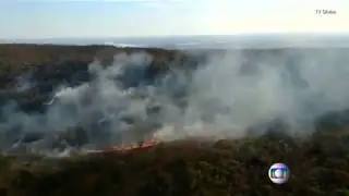 🔴 Amazon rainforest fire: How did the Amazon fire start? How long has it been on fire?