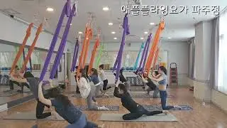 애플플라잉요가 파주점 워밍업(준비운동)/1.7배속_apple flyingyoga warmup