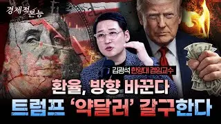 한국이 발버둥쳐도 의미 없고, 트럼프가 원하는 게 중요하다...약달러 설계가 시작됐다ㅣ김광석 한양대학교 겸임교수 [경제적본능]