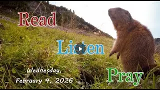 Daily Bible Moment February 4, 2026