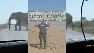 Veteran Safari Trip Highlights