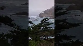Places near #sanfrancisco that you should not miss. #pointlobos #coastalcalifornia