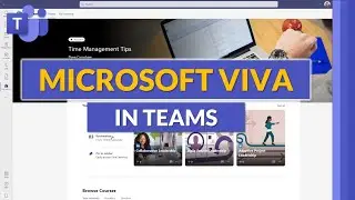 Microsoft Viva Learning and Insights // New features in Microsoft Teams for learning & well-being
