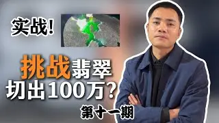 翡翠就是不值錢的破石頭？實戰記錄全賭莫西沙，讓你發現翡翠的美 |翡翠挑戰第十一期#創業 #vlog日常 #翡翠#jade  #玉 #赌石 #原石 #缅甸翡翠 #珠寶