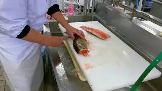ヤシオマスを捌く動画　【ブランヴェール那須】