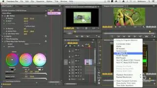 Manual Color Correction in Adobe Premiere Pro CC