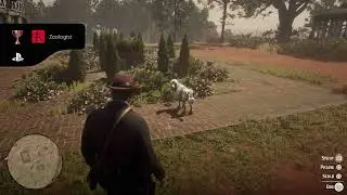 Zoologist Trophy - Red dead 2