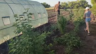 Tröpfchen-Bewässerung für unseren Garten - капельный полив для нашего огорода