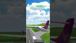 Cebu Pacific Flight 387 but In Turboprop Flight Simulator Plane CRASH By Belly Landing