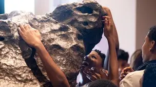 Entre Gigantes: uma experiência no Museu Nacional