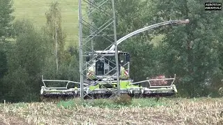 Wird er ihn schaffen? :-)  Regnerische Maisernte - Claas Jaguar 970 - LU Spitzner - Stoppel mulchen