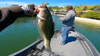 Clear Lake WON Bass Practice Day 1&2 (w/ Roy Hawk)