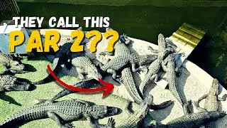 Gator Golf Orlando FL | June 1 2024 #minigolf