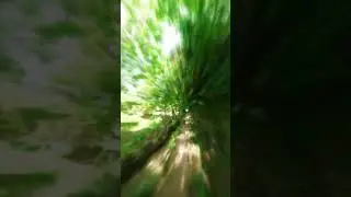 #bannugull #insta360 #nature #instaoner #taifrahman #4k