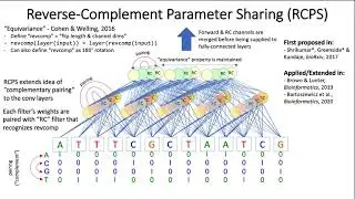 Benchmarking Reverse-Complement Strategies for Deep Learning Models in Genomics (MLCB 2020)