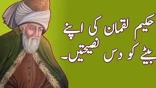Hakeem Luqman Ki Nasihatein | Hakeem Luqman Mind Blowing Quotes In Urdu | Wisdom Quotes In Urdu 