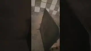toilet bathroom politician granite 🥰#new tiles fitting #ooty  #news channel YouTube tiles fitting