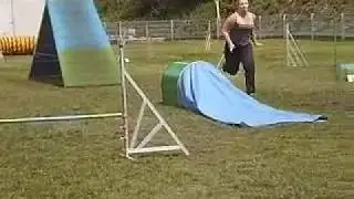 Agility-Funturnier 10.07.2011 in Essen -Luna-
