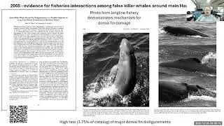 Science and conservation of Hawaiian false killer whales