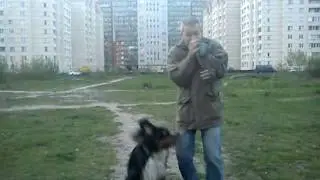 MOV00254
