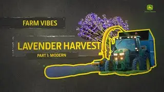Efficiency Meets Nature: Modern Lavender Harvest Explained &ndash; Farm Vibes
