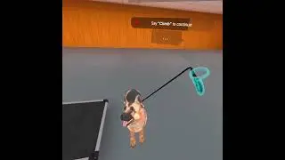 Top Tier K9 Virtual Reality Dog Training Experience