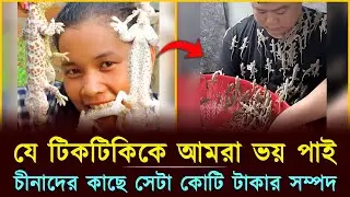 টিকটিকি চাষ করেই হতে পারেন কোটিপতি! | Lizard Farming