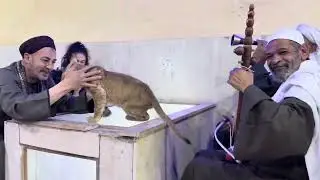 يوم جديد مع احد زوار حديقة افريكانو طلبة شاهدوا ردود فعل الاسد الصغير ❤️🦁 بوجود الحج صلاح طلبه
