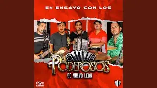 Popurri de Tigrillos en vivo