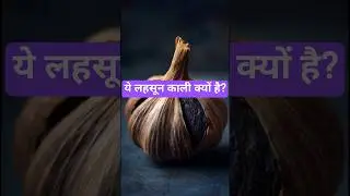 Why is black garlic going viral? Learn about its surprising benefits!