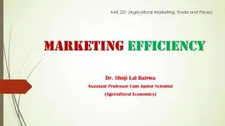 Marketing Efficiency Part  I Technical Efficiency I Pricing Efficiency I Dr. Agribusiness I DSLB