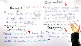 Necrosis|Degeneration|Gangrene|Infarction|Clinical terms| General anatomy|Basic concept building