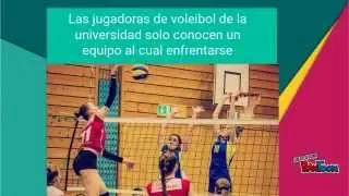 Trofey - TuApp.org 2015