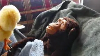 Carl The Monkey - in the 1974 classic horror movie DERANGED ...based on a true story