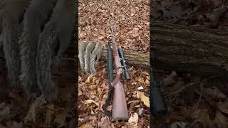 One short of a West Virginia limit with the CZ 457 #cz #squirrel #smallgame #appalachia