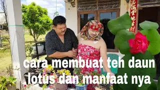 Manfaat daun lotus, nelumbo dan cara membuat teh daun bunga lotus untuk kesehatan | lotus benefit
