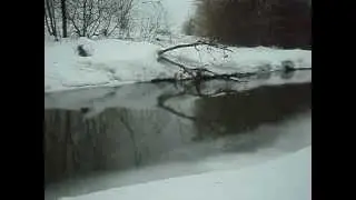 Щучёнок