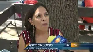 Las Noticias - Perros sin ladridos
