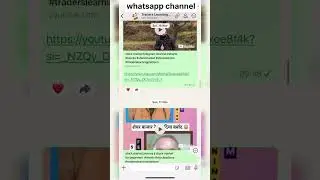 stock market whatsapp channel 📚 #shorts #stockmarket #sharemarket #swingtrading #learnstocktrading
