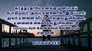 HE will go before you | கர்த்தர் உங்களுக்கு முன்பாகப் போவார் | Today's Living Manna Tamil | #promise