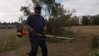 Brush Cutting and trees Cutting job 