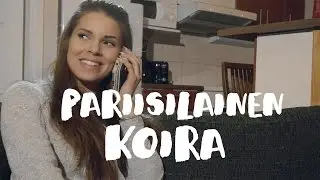 Pariisilainen Koira BIISONIMAFIA