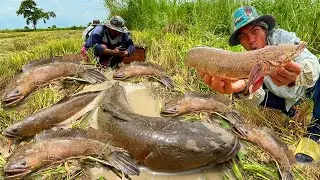 10 Essential Techniques for Copper Snakehead Fishing