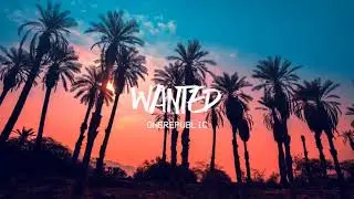 OneRepublic - Wanted