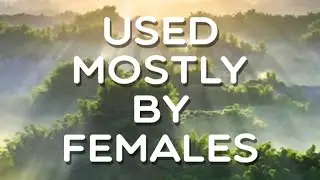 Used mostly by females, Level 84, Word Crush Answers.