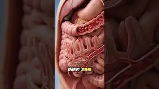 Rice on Empty Stomach: Good or Bad? Truth Explained!  #EatRice #EmptyStomach  #Shorts #ViralShorts